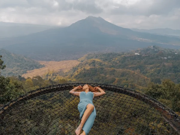 Bali Cultural and Nature Tour: Besakih Temple, Volcano View, Tirta Empul & Rice Terraces