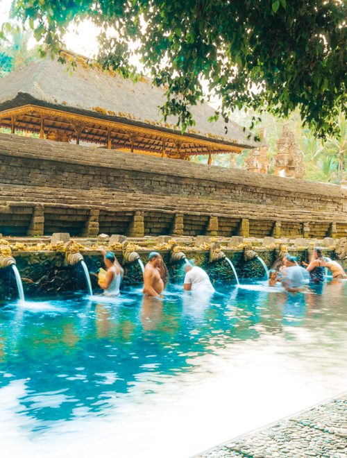 Bali Ritual Cleansing, Rice Terrace and Waterfall Day Tour